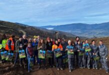 Plantación de 400 castaños en zonas quemadas de Alixo
