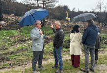 Una nueva vida para los montes quemados: El Gobierno invierte 9 millones de euros en restauración forestal montes quemados, incendios, restauración forestal, subdelegado del Gobierno