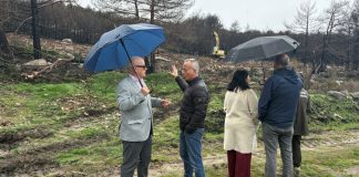 montes quemados, incendios, restauración forestal, subdelegado del Gobierno