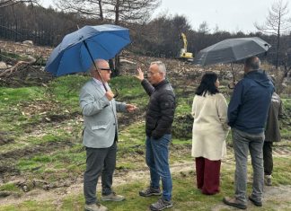 montes quemados, incendios, restauración forestal, subdelegado del Gobierno