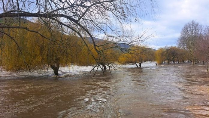 valdeorrasdecerca_río Sil_2026_02_12 (2)