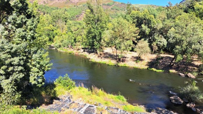 valdeorrasdecerca_río Sil_Sobradelo_2026_08_09