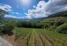 La Primavera de Portas Abertas en la Ruta do Viño de Valdeorras pone en valor el enoturismo