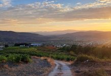 Curso sobre suelo agrícola y vitícola en A Rúa