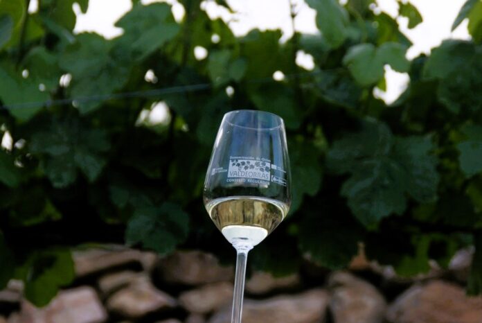 valdeorrasdecerca_vinos_Consello Regulador_2024_03_14