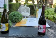 O Inorde promove a dixitalización na viticultura con xornadas formativas